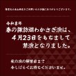 画像1: 【諏訪湖産】わかさぎ甘露煮 (1)